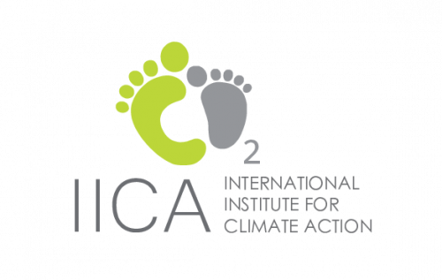 IICA suradnja